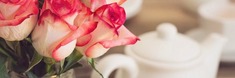 Laura_Klym's profile banner image