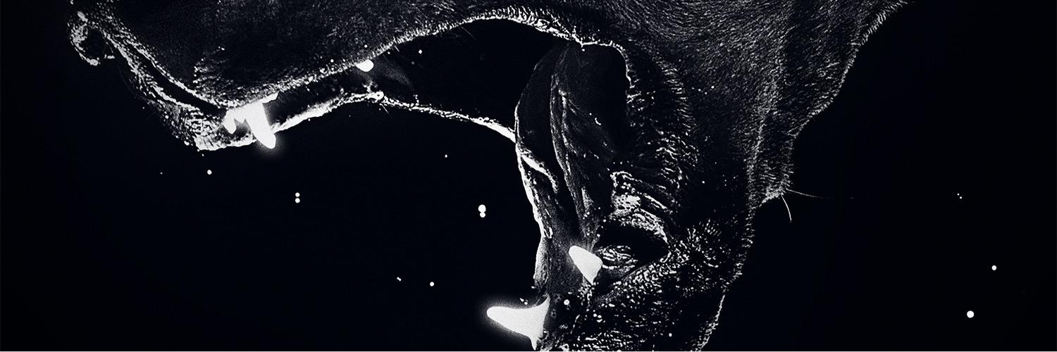 deadset_band's profile banner image