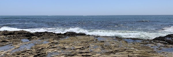 WhaLA Profile Banner