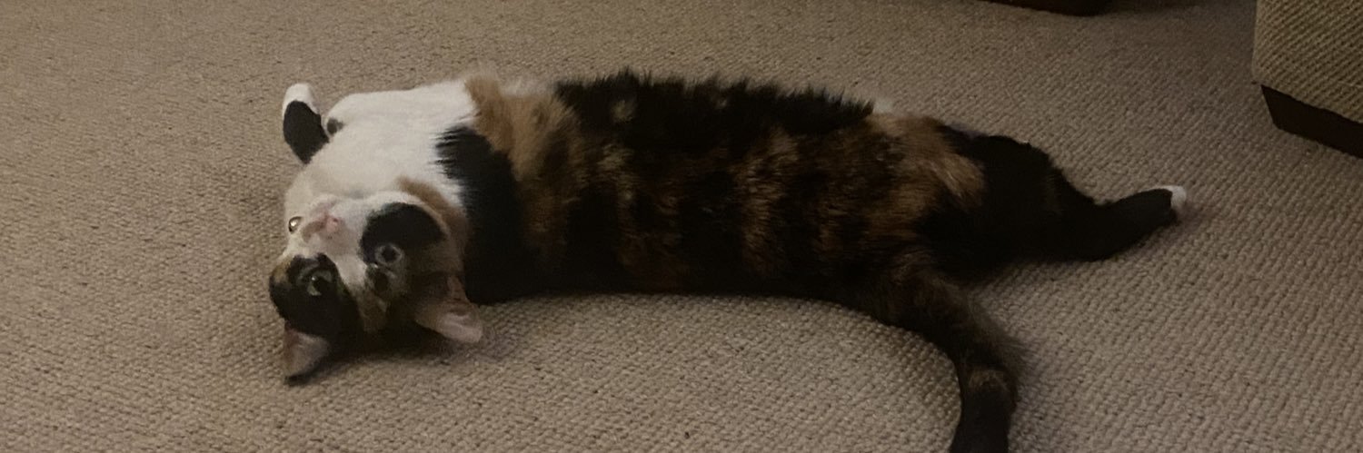 Emma A. J. Johnson banner