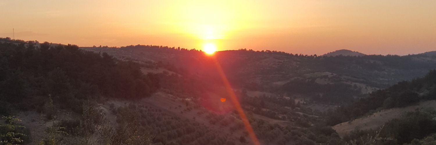 Tepeciikk's profile banner image