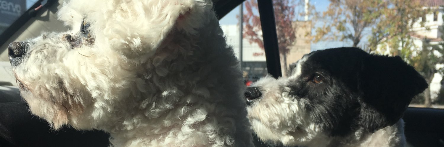 gngloria4's profile banner image