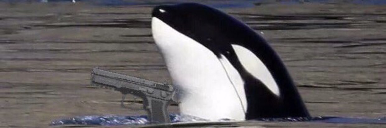 danSCREAMM's profile banner image