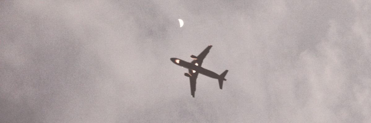 alv533's profile banner image