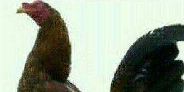 Maneeee2's profile banner image