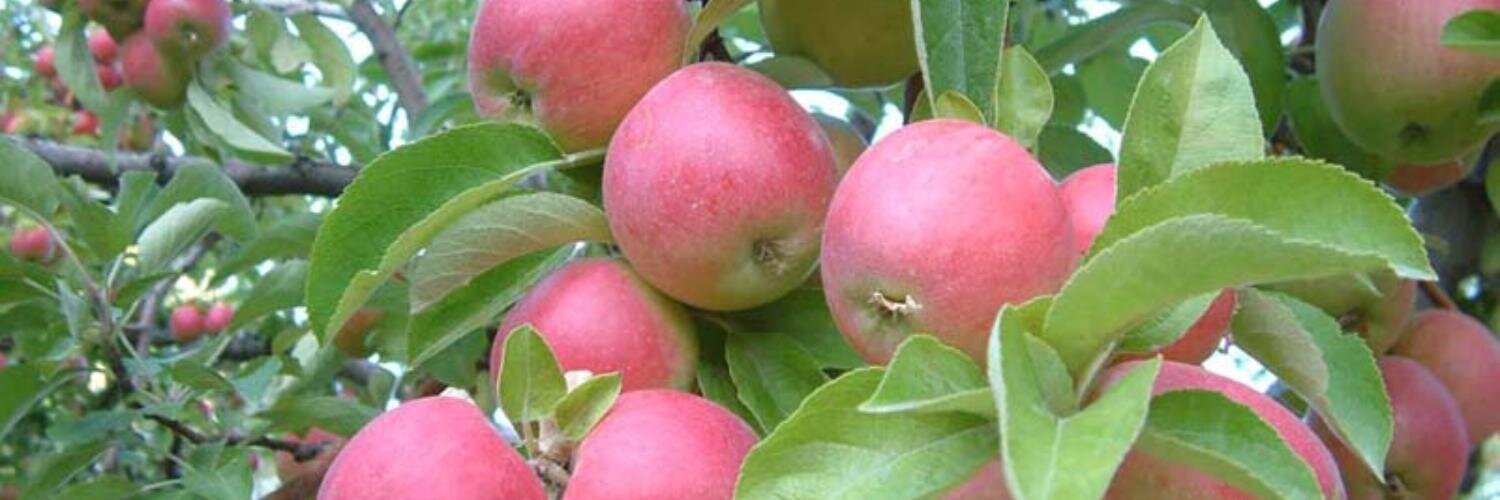 becer05's profile banner image