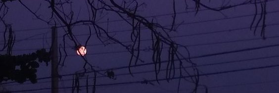 Boobabinga's profile banner image