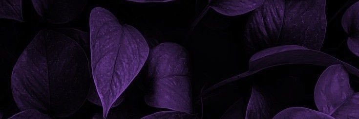 jhumbertoth's profile banner image