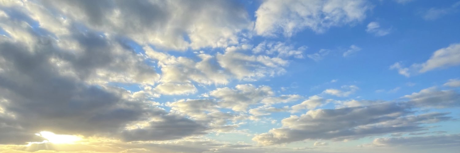 JulienBauer88's profile banner image
