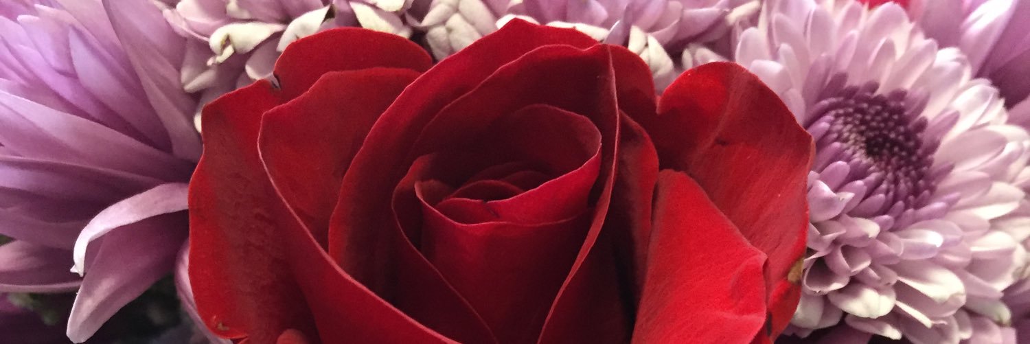Pamela Smith banner