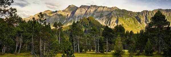 UNESCO_ch Profile Banner
