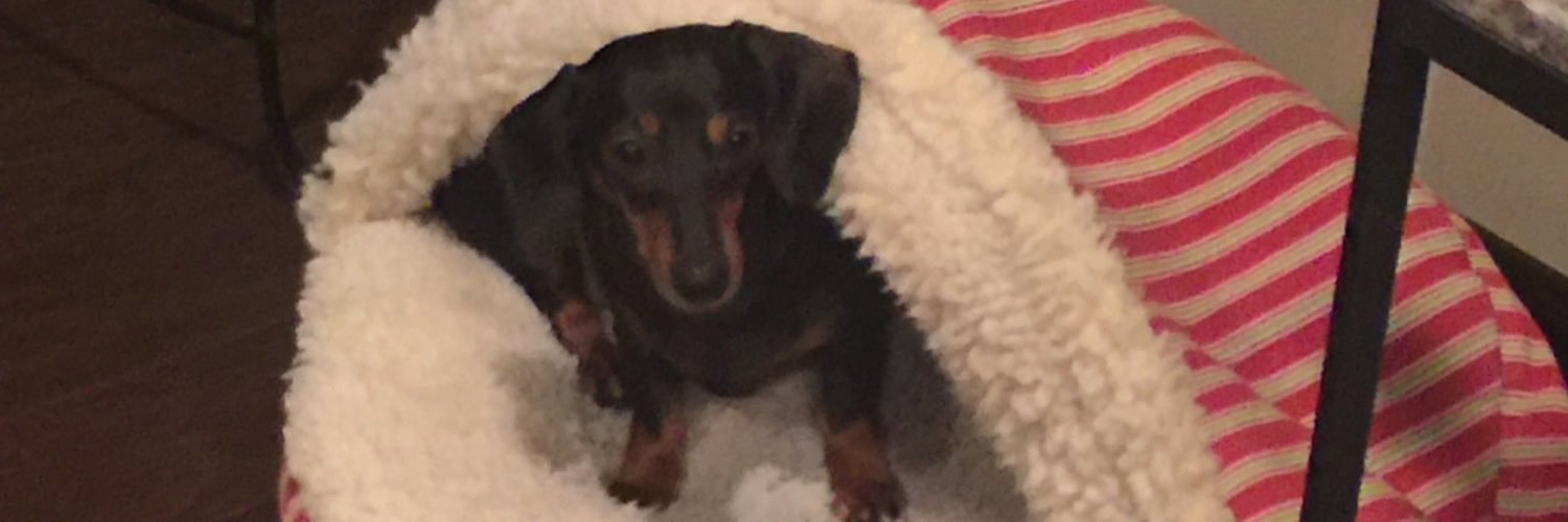 DeeAnn7189's profile banner image