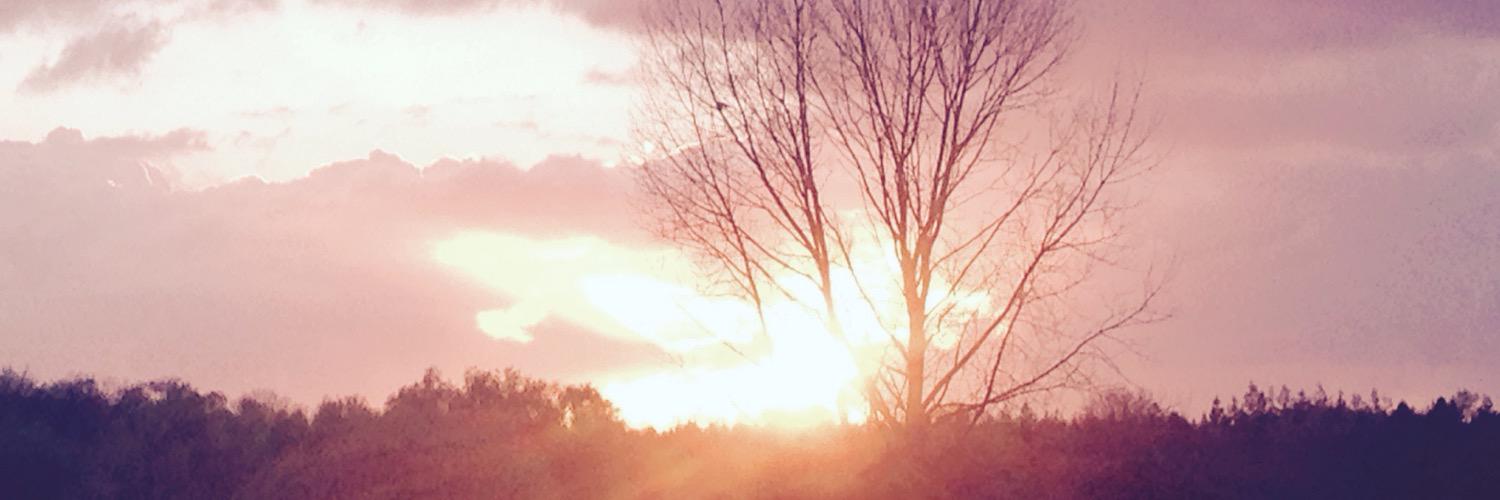 Ferryjonker's profile banner image