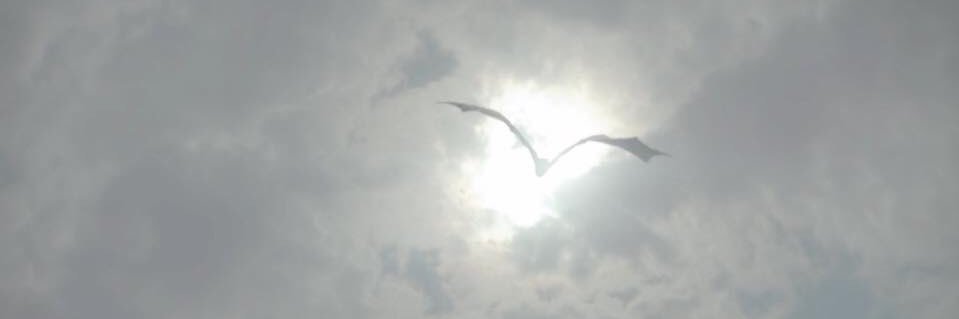 BaSHaRGhOsT's profile banner image