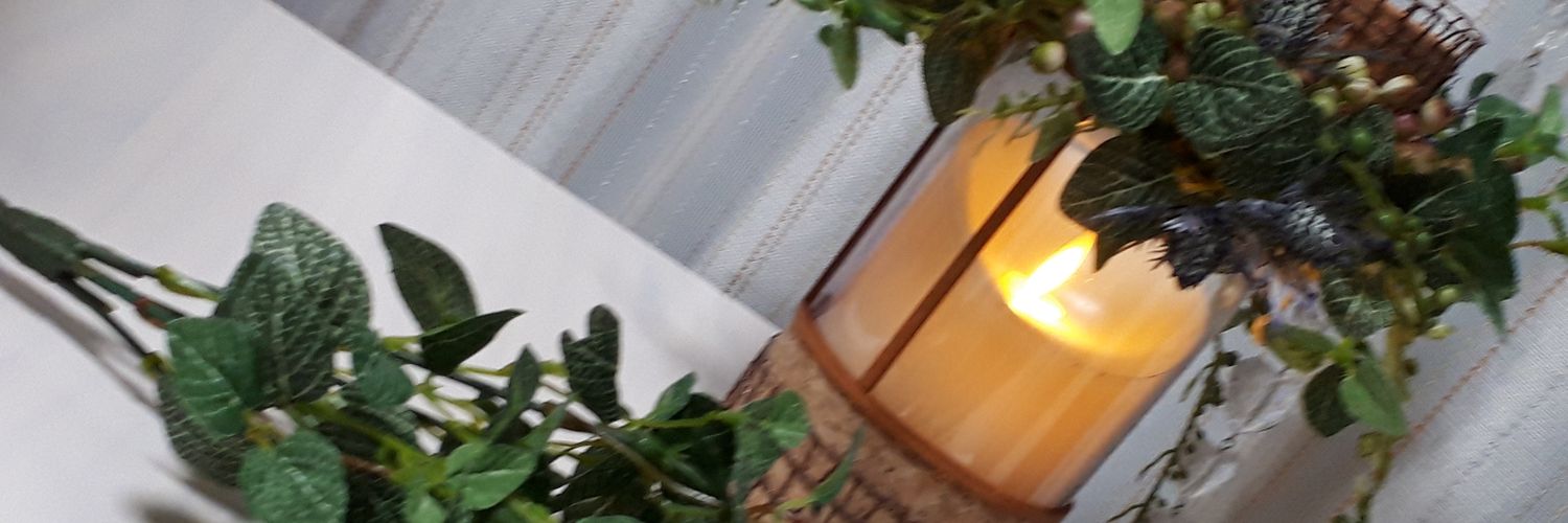 きょん banner