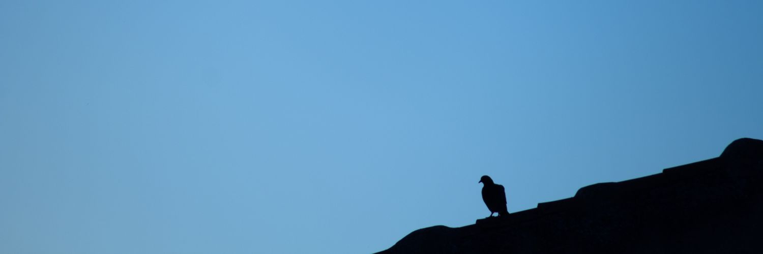 PatGranadian's profile banner image