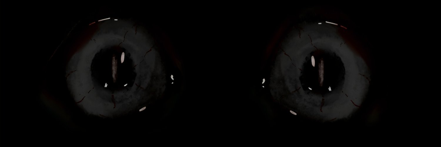 SatoimoJAS's profile banner image