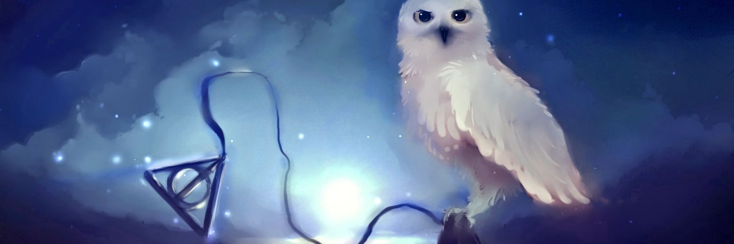 Winter__Demon's profile banner image