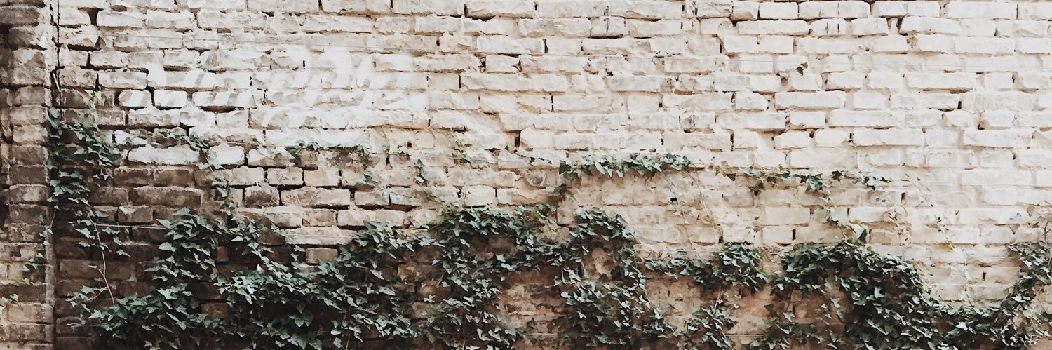 JuliaWittel's profile banner image