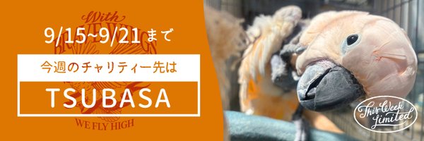 JAMMIN_Kyoto Profile Banner
