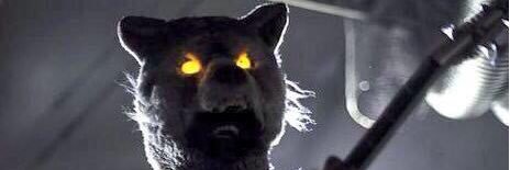 wolf_mwam's profile banner image