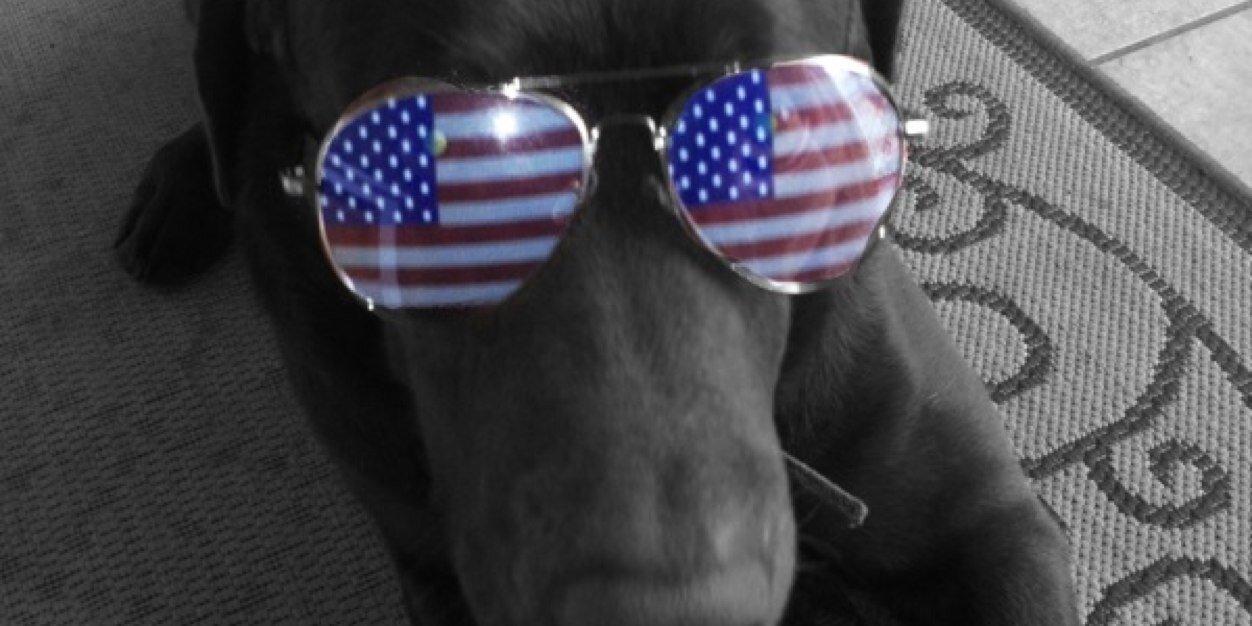 kwwilson88's profile banner image