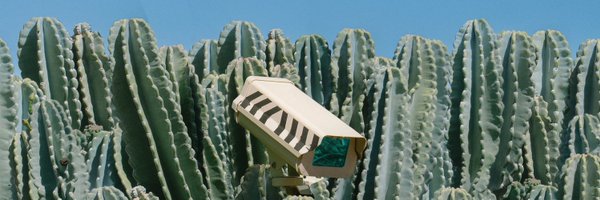 808NFT808 Profile Banner