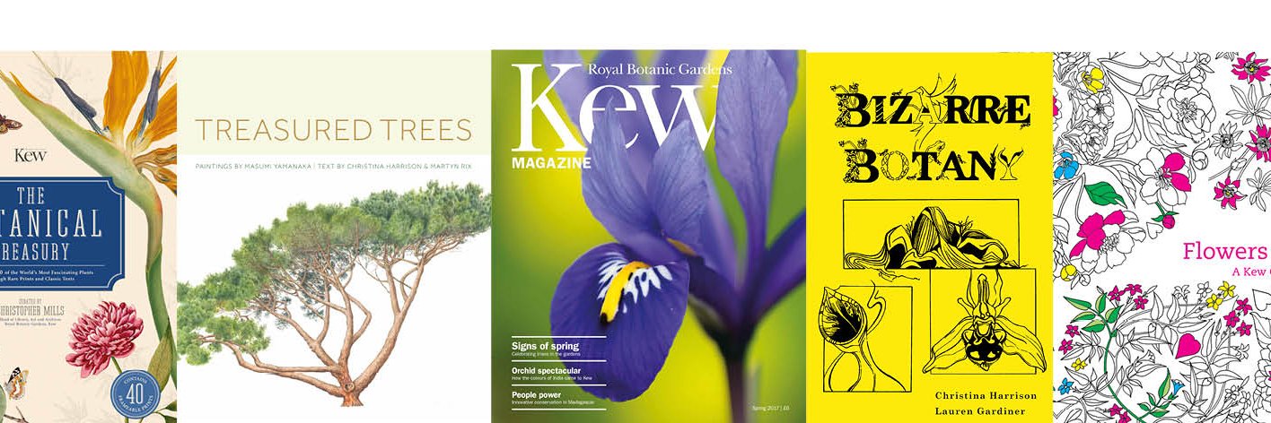 Christina Harrison (Hourigan) banner