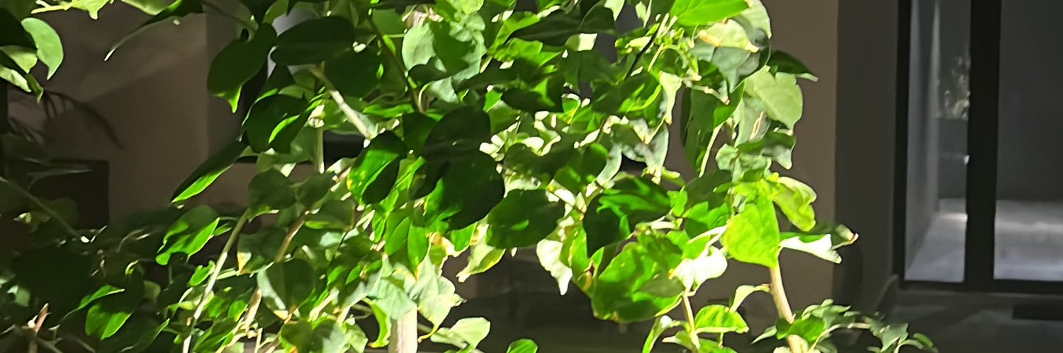 equatorjeddah's profile banner image