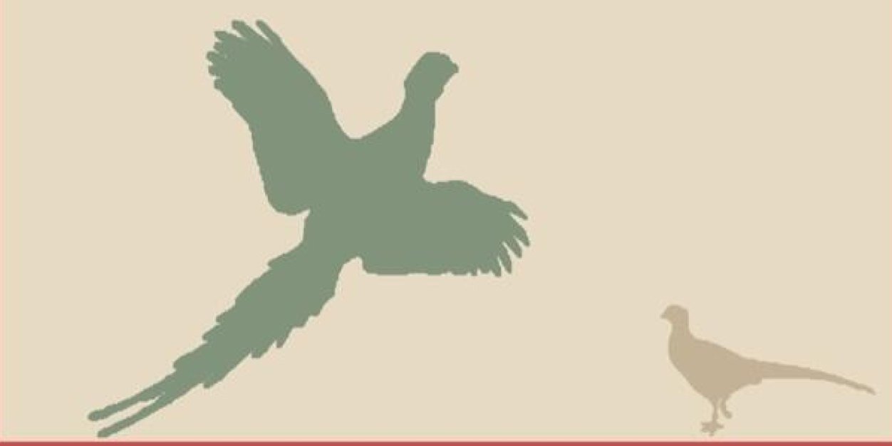 MissCritchley's profile banner image