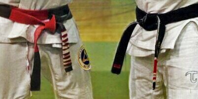 BjjConnected's profile banner image