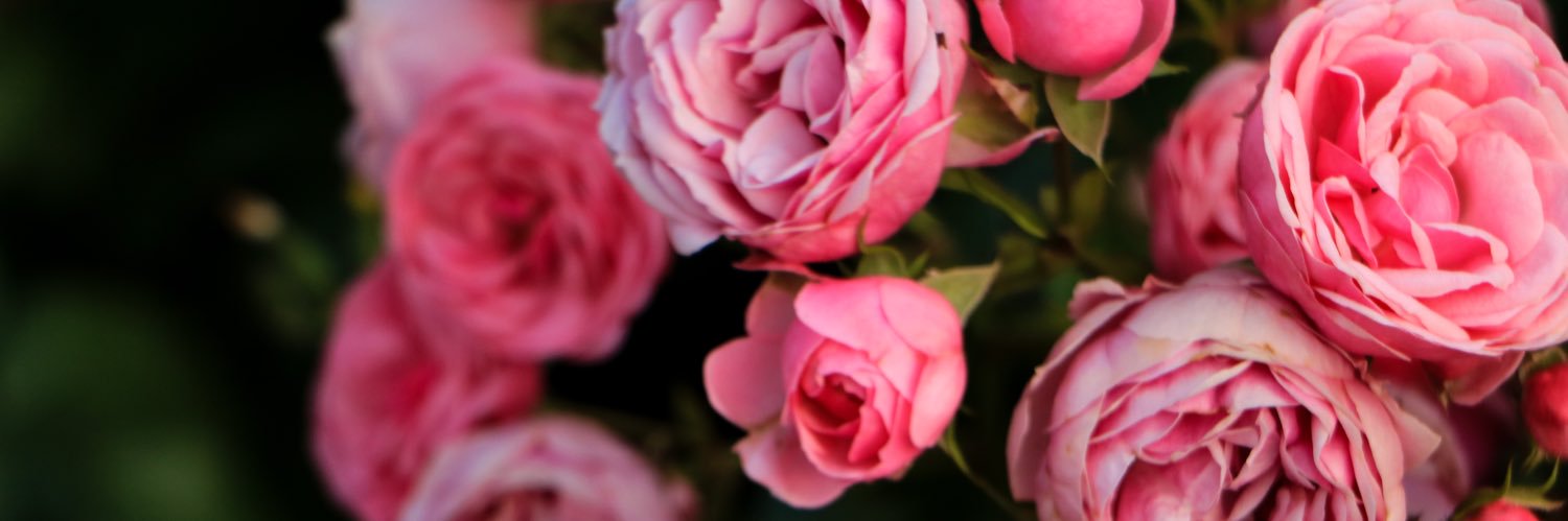 ukk562's profile banner image