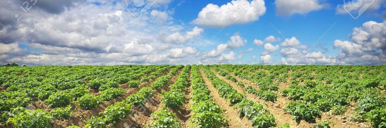 Loïc Le Meur banner