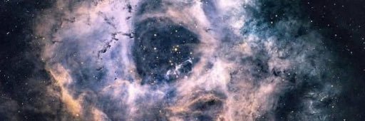 MUnrulyRoe🇹🇹🇯🇲 banner