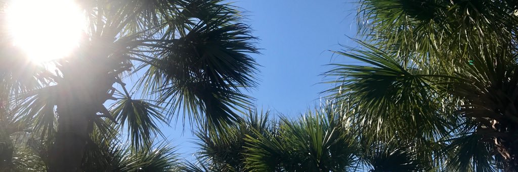 c_sau's profile banner image