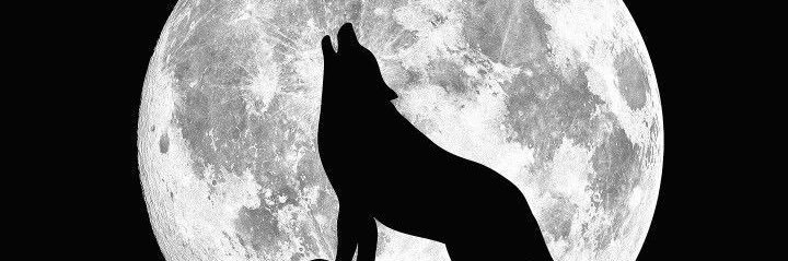 BachelierSarah's profile banner image
