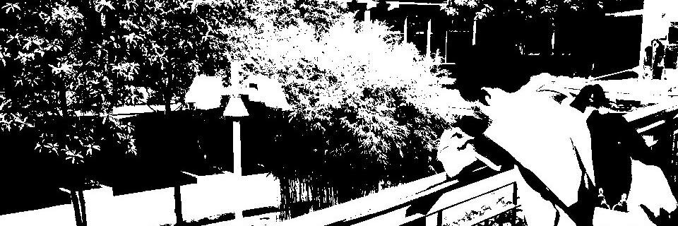 deeRomanticism's profile banner image