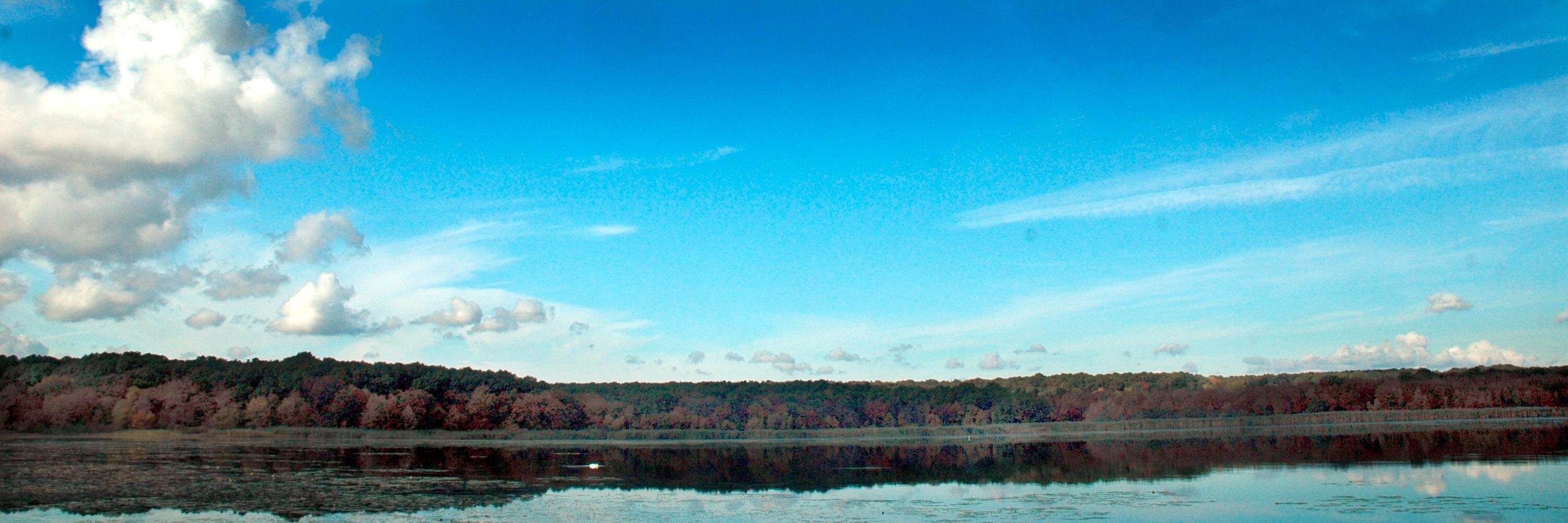 RichardJHealy's profile banner image