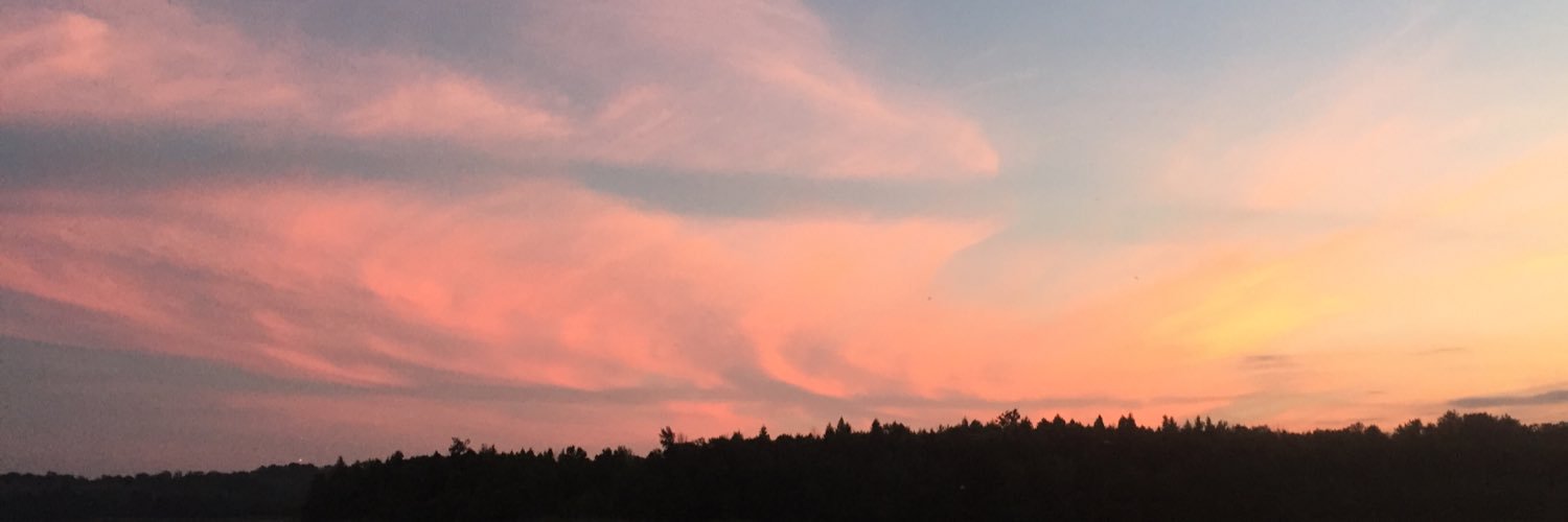 MeMyselfandAl10's profile banner image