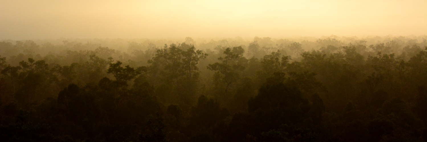 SwampyMatt's profile banner image