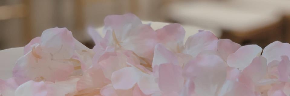 ffrewaz4478's profile banner image