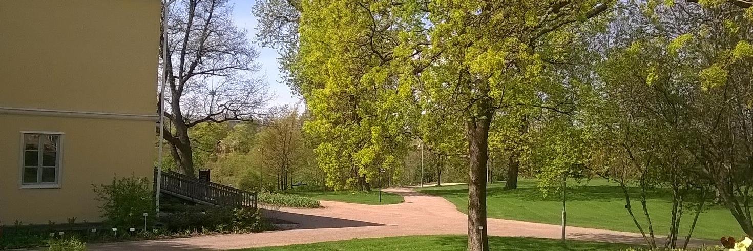 Johannes Ijäs banner