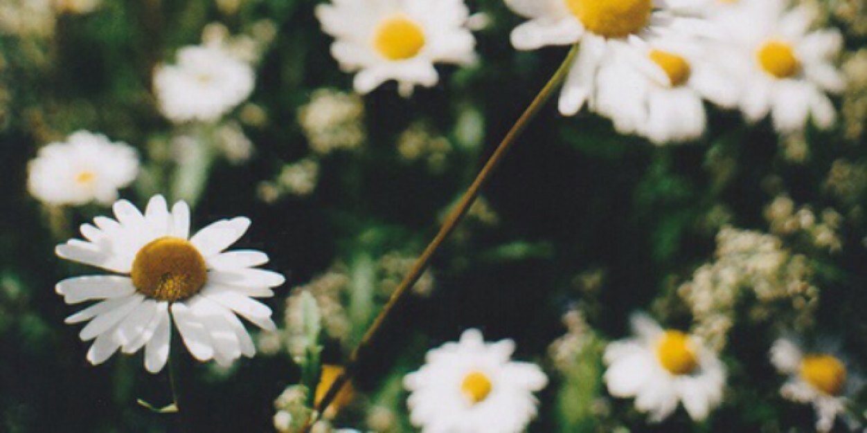 toxicbreaths's profile banner image