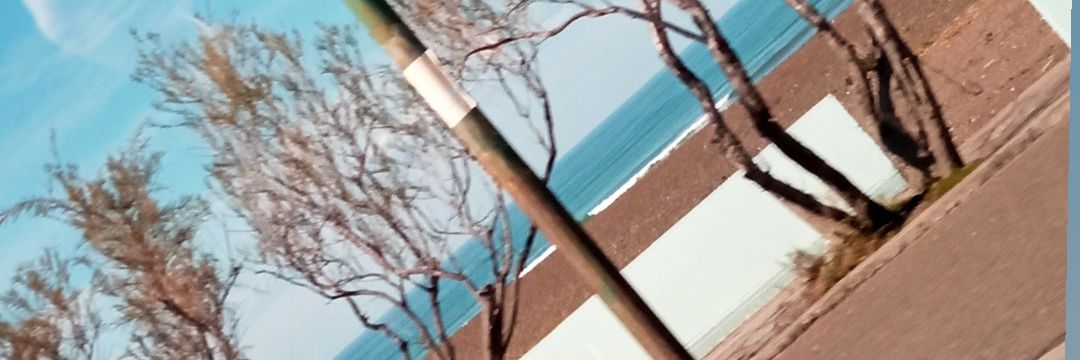 eelemmy's profile banner image