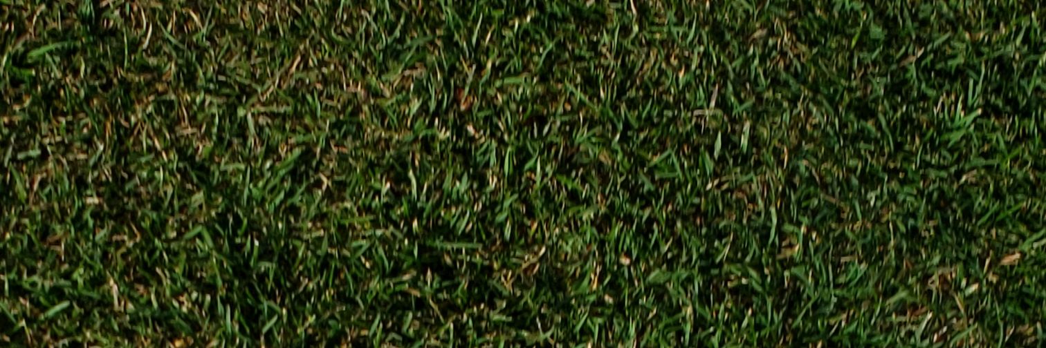 CanadianCovert's profile banner image