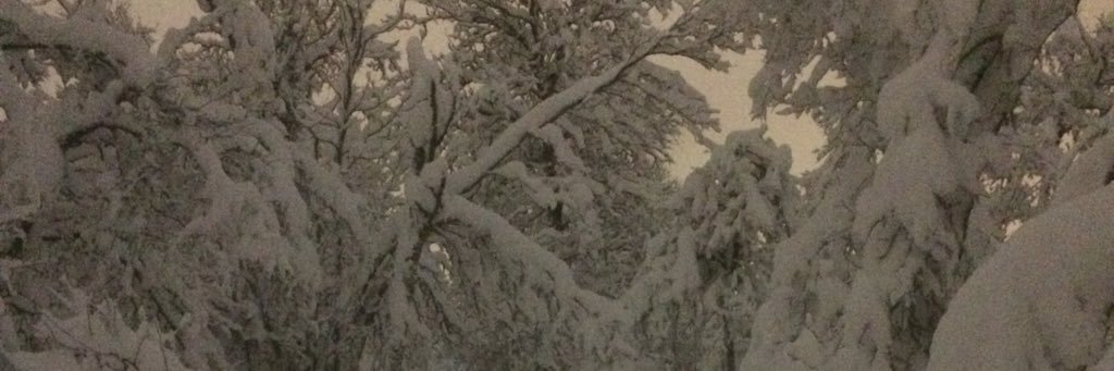 zamisa54's profile banner image