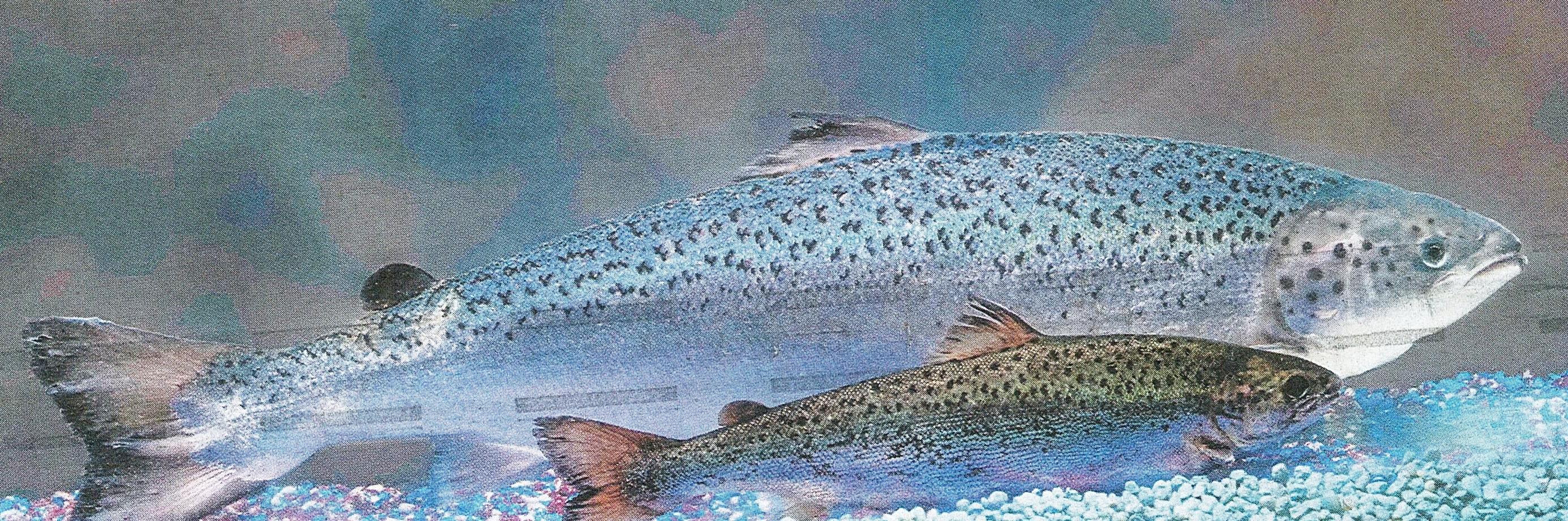 EnvGov's profile banner image