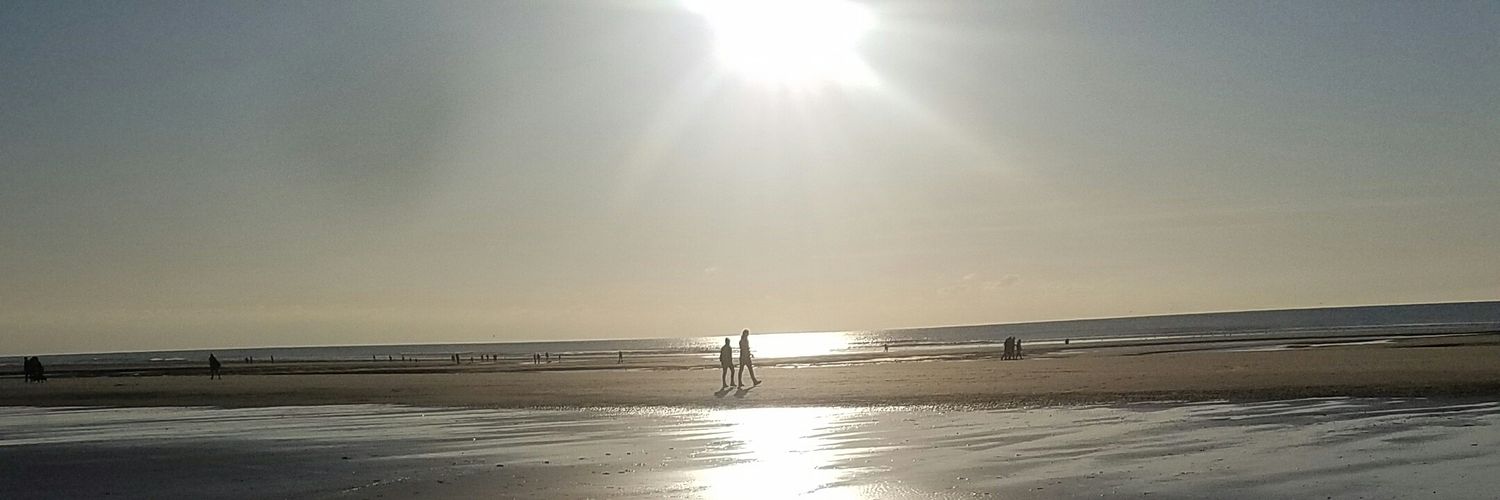 bamboudesmers's profile banner image