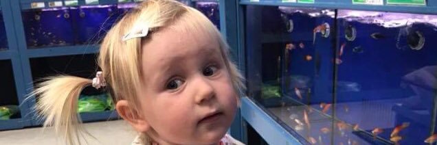 Jamie J Kluckers banner