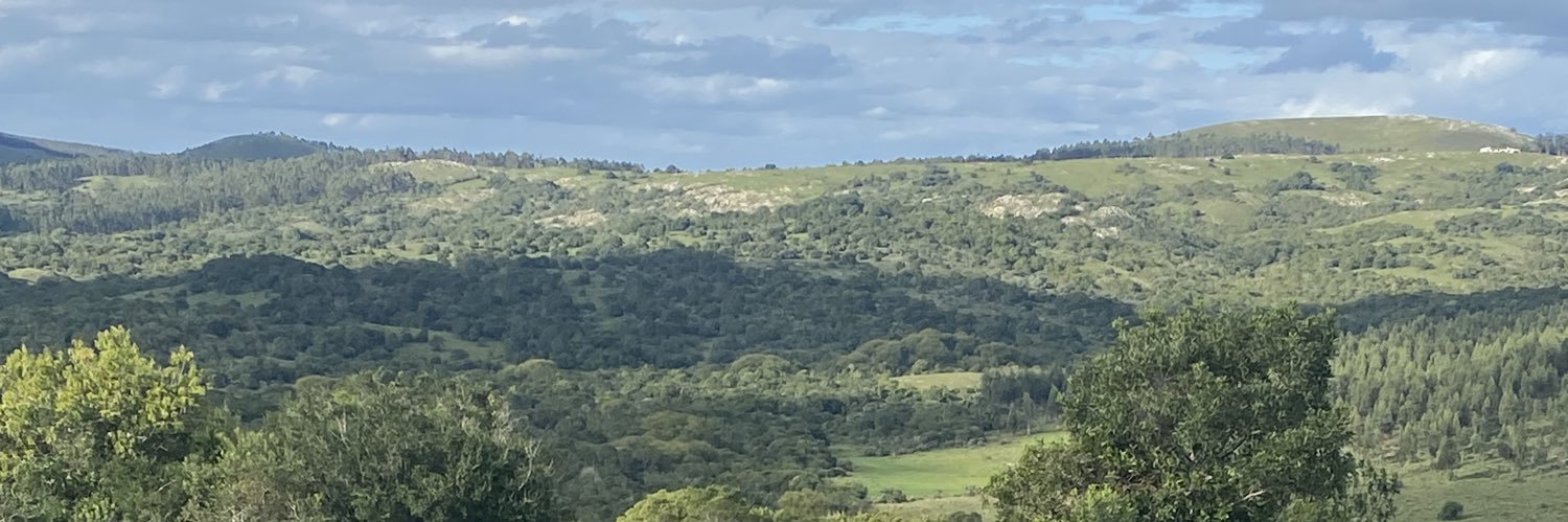 BoussesAna's profile banner image